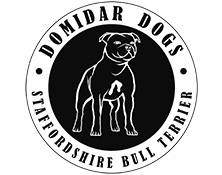 CHS Domidar Dogs