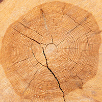 Grilovaná klobása s chlebem a hořčicí